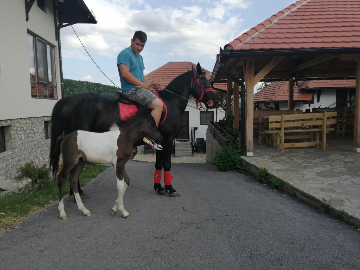 Bed and Breakfast Etno Selo Lelic Valjevo Exterior foto
