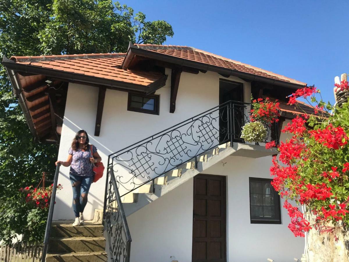 Bed and Breakfast Etno Selo Lelic Valjevo Exterior foto